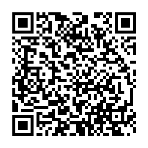 正在和叶道弦合作准备编排简易版本做为三军战士的基础拳法之一二维码生成