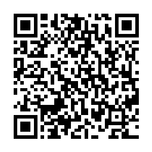 此刻也因吸收了大量从四周疯狂涌来的灵力和部分雷劫威能二维码生成