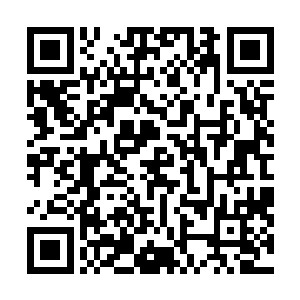 此刻大量的妖兽异形和五行虫也从楚旬的神界中倾巢而出二维码生成