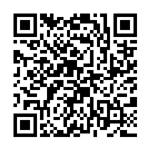 此刻的他们也一定正在为修真大道和人类文明的未来二维码生成