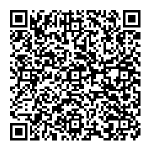 此刻远远看到他在城楼下有条不絮地安排没受伤的士兵上城楼去轮换与从容不迫地安排受伤的士兵抬伤重的士兵下城楼来安置二维码生成