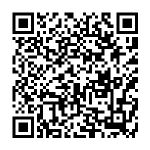 此时天际那如血的残阳让被沙漠包围的城市充满了一种末日来临之前的惨烈二维码生成