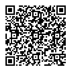 此时杨戬身上的气势以碾压一切的姿态顷刻间瞬间将大阵的天地之力的气势压制了下去二维码生成