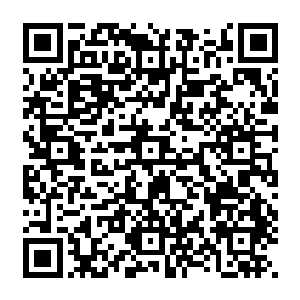 此时的他已经成长为二鼎七阶的高手他有自信击败红衣弟子里面除了阿宝以外的所有人二维码生成