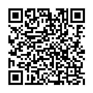 每一个班级的表演者都再度早早的来到了大礼堂二维码生成