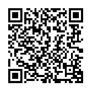 每年出产的高档金枪鱼占整个日本市场的三分之一强的份额二维码生成