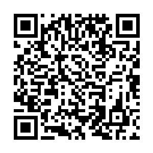 每隔一段时间都会有族人去外界了解外界的情况回来二维码生成