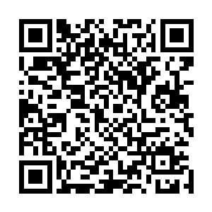 比如派遣你们强大的海军去将那些游弋在我们桑巴国外的米二维码生成