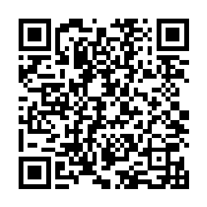 比海鹰的精锐以及大量只会内功的普通龙组成员还要强二维码生成