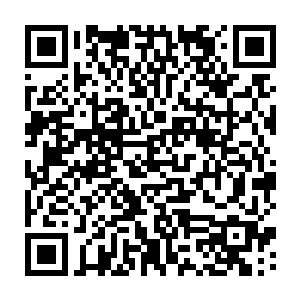 毕竟修真者使用的材料中有很多东西在天域中根本就是从来都没有用过的二维码生成