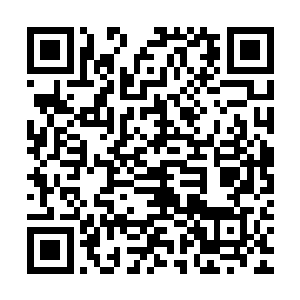 汉普雷斯的耳纹代码输入到我们组织里的那台巨型的差分机之后二维码生成