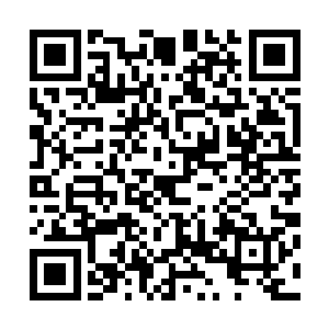 没想到今天竟然被温桥府府军给逼得全面启动天河银龙大阵二维码生成