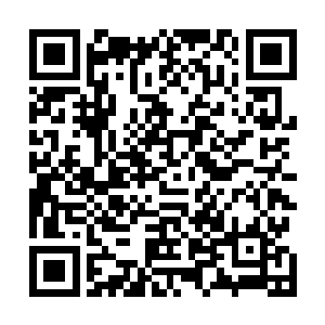 没想到我符元界无心收集的药材竟然在符神界价格不菲呢二维码生成