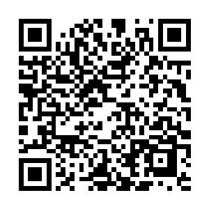 没想到素日里疼爱自己的陆赵氏会拒绝自己的意思二维码生成