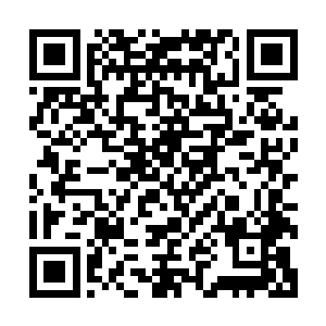 没想到这位楚公子居然对这个小气抠门的张百万如此另眼相看二维码生成