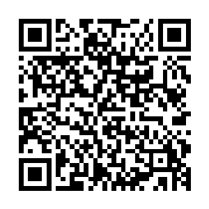 没有支撑没有报光率在现在眼球经济的时代什么大师都是扯淡二维码生成