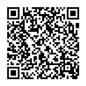 治安大队副队长张冲几乎不敢置信地看着眼前一副狼狈的两个协警二维码生成