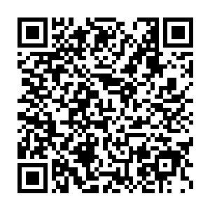 洪县新晋童生以及县学府院往届优秀学子这次有七人将要前往祁城二维码生成