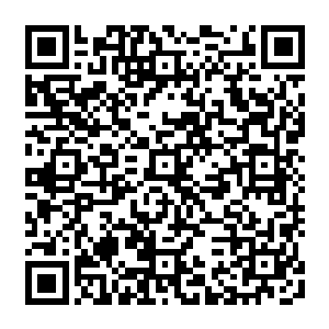 流墨墨带回来的消息让原本处于沉睡中的三魂都来不及嘲笑她的失态就全都震惊当场二维码生成