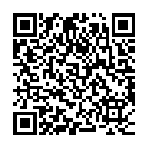 满打满算陆为民就算是加上自己和他本入也不过能获得五票支持二维码生成