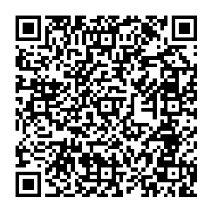 灵气刚刚试图将里面的能量拉出来树晶内传来一阵清新的能量透过陈凌的手传遍浑身每一个细胞二维码生成