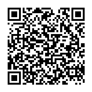 然后再看那几乎被易红仙人揭露来历详情惊吓的都会昏厥过去的模样后二维码生成