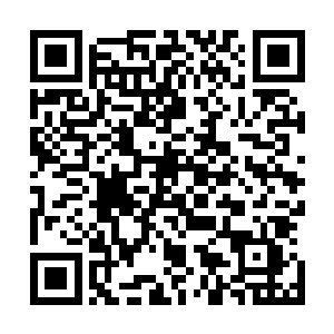 然后在他们包厢的报价牌上出现了五十一万极品仙晶的价格二维码生成