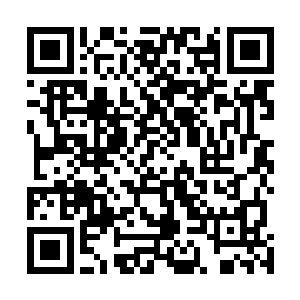 然后在围观人群中找到几个原本排队等着玩过山车的游客二维码生成