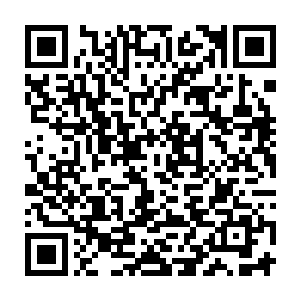 然后将自己的那一份自以为是超越当前时代的科技和认知一点点地传递出去二维码生成