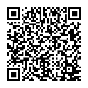 然后把任务簿递过去一阵光芒后外门弟子结果任务簿就从前门走了出去二维码生成