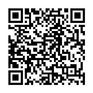 然后用一根毛线把纸条和铅笔头全绑在了白琉璃的身体上二维码生成