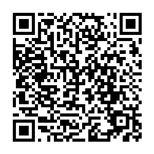 然而白兰和入江正一他们正讨论的科学话题却是啪啪啪的打了她的脸二维码生成