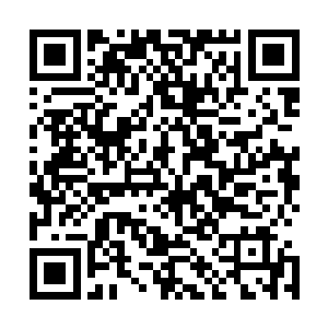 猛虎帝国的舰队根本没有想到己方的地盘内竟然有敌人存在二维码生成