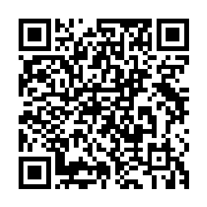 王世超以及另外两名叶河本地犯罪嫌疑人采取刑事拘留强制措施二维码生成