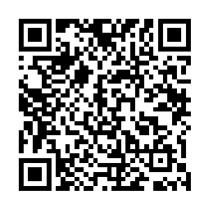 王亚早已经率领着二十名筑基期高手和一百名练气期高手二维码生成