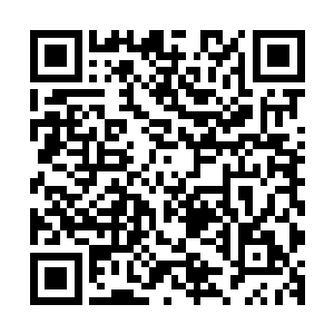 现在自己和市政府那边已经基本上进入了较为默契的合作阶段二维码生成