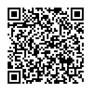 现在这个阵法的程度差不多能够召唤出四个元婴实力的四象圣兽虚影二维码生成