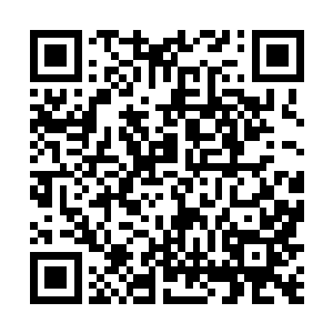 理查德的博士生康纳斯承担着科研民工和小老板的责任二维码生成