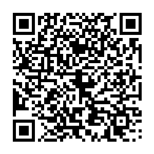 瓦克城的城主当时在听见剑尘以二十岁的年纪就拥有至少是大圣师的实力之后二维码生成