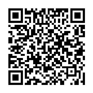 甚或连新选在金水桥侧的燕王新府现在都已然停了营建二维码生成