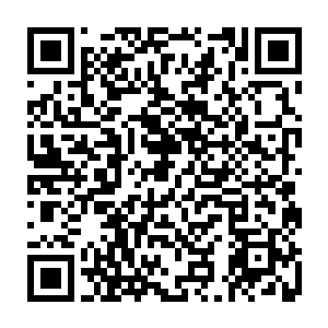 甚至就连手中那黑色长棍也几乎被从那巨盾处传来的惊人反震力量给直接震飞二维码生成