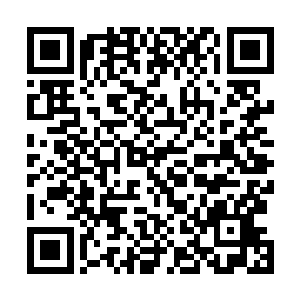 用那一双布满伤痕的双手盖在他们仍然睁开的眼睛除划过二维码生成