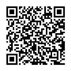 疾风冒险团几个术士的本源晶石纯度全部都在百分十九十以上二维码生成