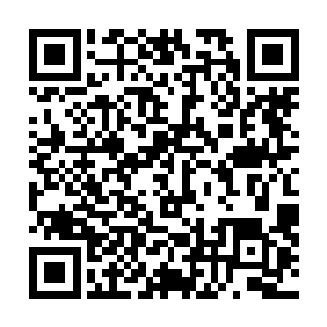 白俊良却哪里知道金美凤在这件事上也会拿他和沈飞比较二维码生成