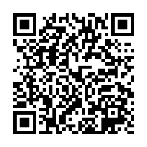 皇帝召回左相卢勇和英亲王府大公子秦浩的旨意刚传出宫二维码生成