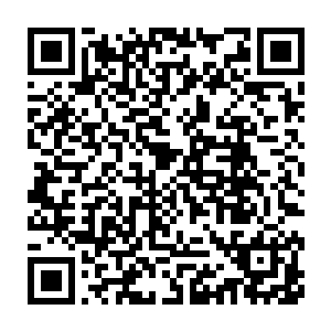 目的是归纳出用于定位dna结合蛋白在dna分子上的结合位点的各种技术二维码生成