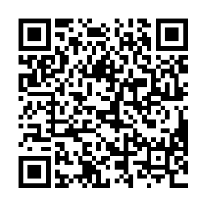 相信绝大部分选手在此时此刻也绝对会做出同样的选择二维码生成