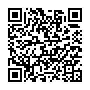 眼神不时望着我欲言又止终是没有再开口问询什么二维码生成