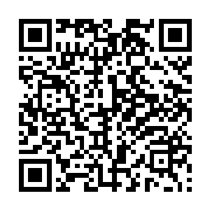 砰砰砰砰砰砰~~只是他们的哭求是不是真的起到了作用二维码生成