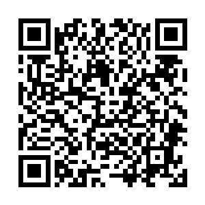 砰砰砰~~~黑水玄蛇又在用身体猛烈的撞击着外面的石壁二维码生成